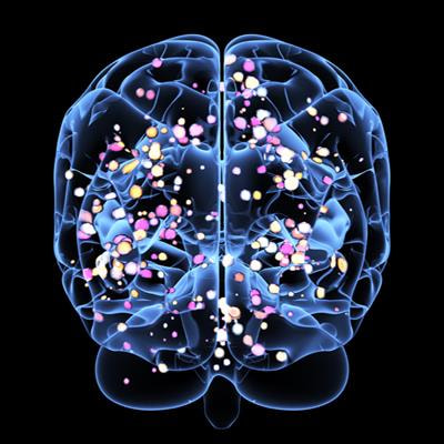 Cover image for research topic "Reproducibility in Neuroscience"