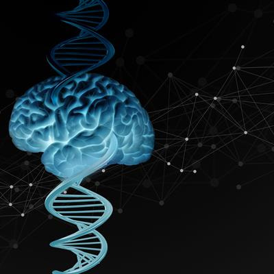 Cover image for research topic "Genotype-Phenotype Correlations in Neurodegenerative Diseases: From Clinical Features to Neuroimaging Signatures"