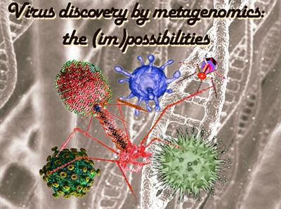 Cover image for research topic "Virus discovery by metagenomics: the (im)possibilities"