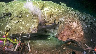 Cover image for research topic "Chemical and Biogeochemical Processes at Methane and Other Cold Seeps"