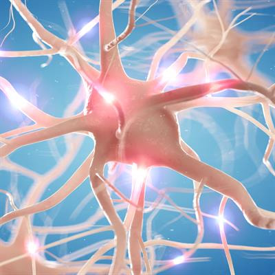 Cover image for research topic "Rising Stars in Neurotoxicology: 2021"