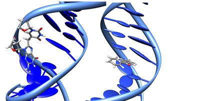 Cover image for research topic "Radiation-induced and oxidative DNA damages"