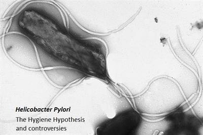 Cover image for research topic "Helicobacter pylori and the hygiene hypothesis: the controversies"