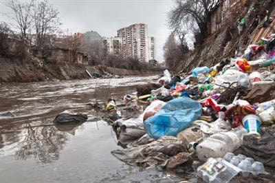 Cover image for research topic "Fish as Sentinels of Urbanization Impacts in Aquatic Ecosystems"