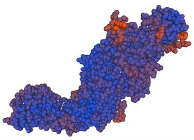 Cover image for research topic "Epitope Mapped Vaccines and Diagnostics for Emerging Pathogens"