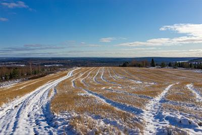 Cover image for research topic "The Cold Regions in Transition: Impacts on Soil and Groundwater Biogeochemistry"