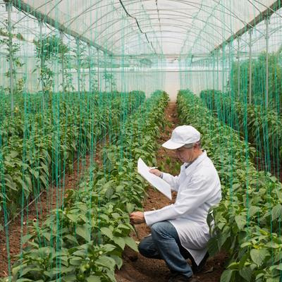 Cover image for research topic "Beneficial Elements: Novel Players in Plant Biology for Innovative Crop Production, Volume II"