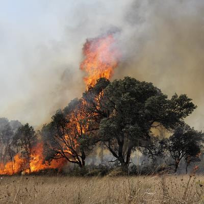 Cover image for research topic "Environmental Stressors, Multi-Hazards and their Impact on Health"