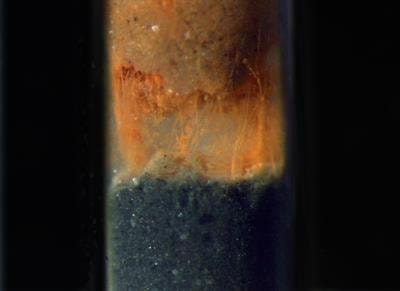 Cover image for research topic "Electromicrobiology – From Electrons To Ecosystems, Volume II"