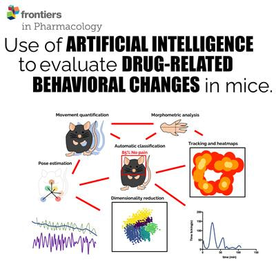 Cover image for research topic "Use of Artificial Intelligence to Evaluate Drug-Related Behavioral Changes in Rodents."