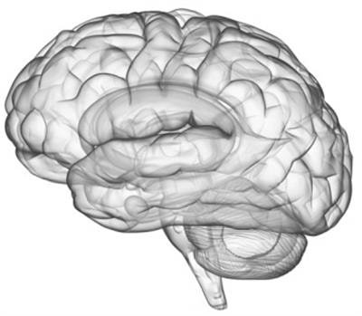 Cover image for research topic "Neuromodulation in Covid-19: from basic research to clinical applications"