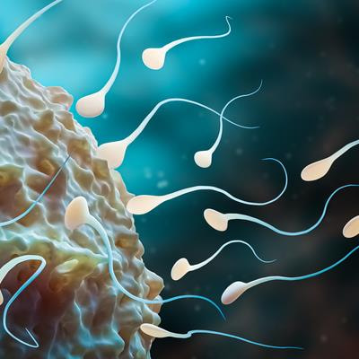 Cover image for research topic "COVID-19 and Human Reproduction"