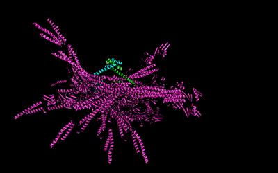 Cover image for research topic "Peptidyl-Prolyl Cis/Trans Isomerases (PPIases) in Host-Pathogen Interactions"