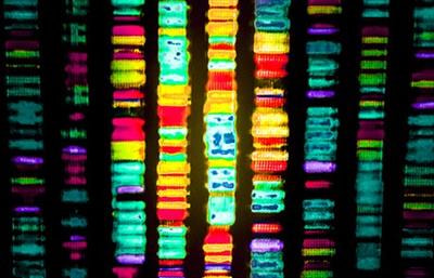 Cover image for research topic "1st Advances in Precision Medicine: Epigenetics and Precision Medicine"