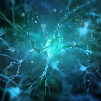 Cover image for research topic "Community Series in Understanding Brain Aging – Volume II"