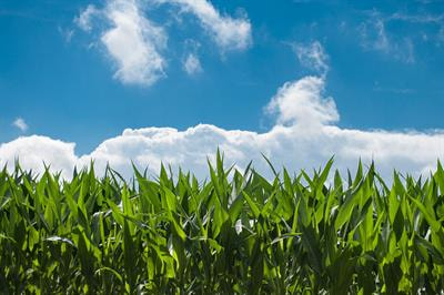 Cover image for research topic "Hydrological Processes in Agricultural Lands"