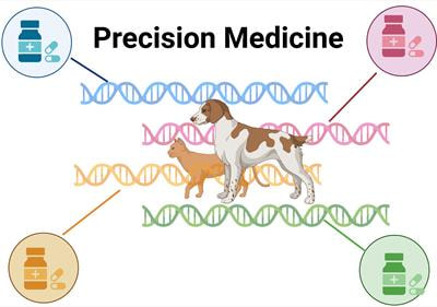 Cover image for research topic "Precision Medicine in Veterinary Oncology: Volume II"