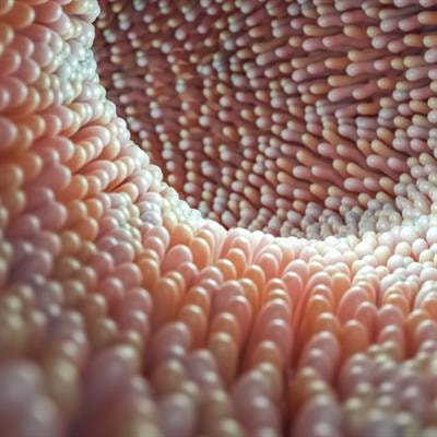 Cover image for research topic "Engineering Probiotics for Multiple Interventions on Intestinal Diseases"