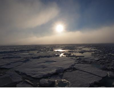 Cover image for research topic "Microbial Response to a Rapidly Changing Marine Environment: Global Warming and Ocean Acidification, Volume II"