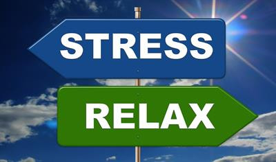 Cover image for research topic "New Insights into Stress Coping and Resilience"