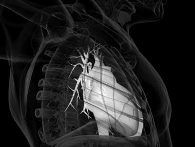 Cover image for research topic "Rising Stars in Cardiovascular Endocrinology 2022"