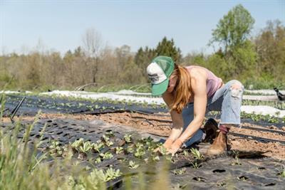 Cover image for research topic "Work in Agriculture: New Perspectives"
