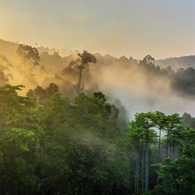 Cover image for research topic "Connecting Biodiversity Protection, Nature Conservation Assessment, and Ecological Risk Assessment"