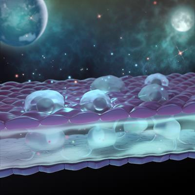 Cover image for research topic "Space Mechanobiology and Medicine - Volume II"