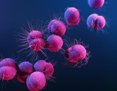 Cover image for research topic "New Perspectives in Fighting Multidrug-Resistant Organisms: Natural Sources of Bioactive Compounds"