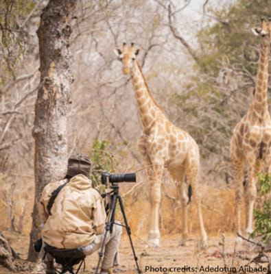 Cover image for research topic "Conservation and the Media"