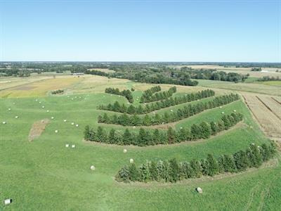 Cover image for research topic "Continuous Living Cover: Adaptive Strategies for Putting Regenerative Agriculture into Practice"