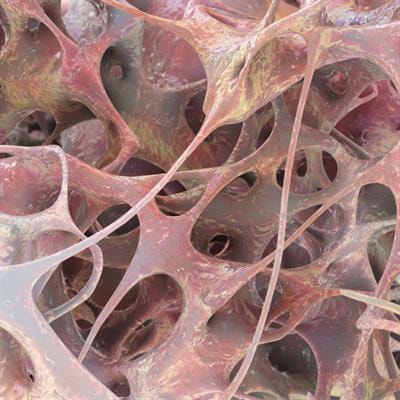 Cover image for research topic "Rising Stars: Bone Research 2021"