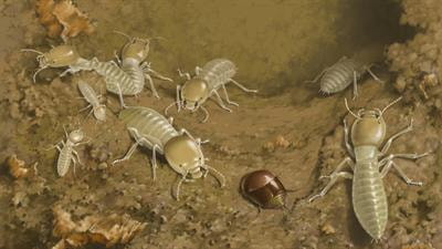 Cover image for research topic "A Fossil View of Insect Evolution: Integrating Paleontological Evidence to Explore the Origins of Insect Biodiversity"