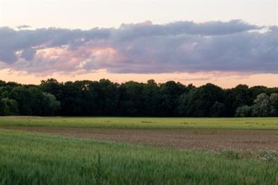 Cover image for research topic "Finding Paths to Net-Zero Carbon in Climate-Smart Food Systems"