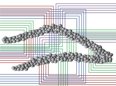 Cover image for research topic "The Dentate Gyrus and its Local Circuits"