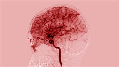 Cover image for research topic "Stars and Rising Stars in Neuroendocrinology"