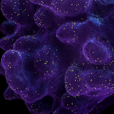 Cover image for research topic "Natural Products Targeting Oxidative Stress and Cell Death: Treatment Potential in Metabolic and Cardiovascular Diseases"