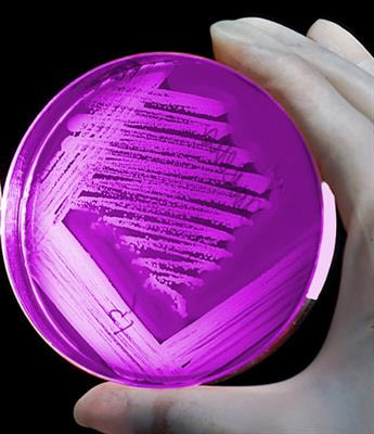 Cover image for research topic "Novel Approaches towards Antimicrobial Drug Design and Target Discovery"