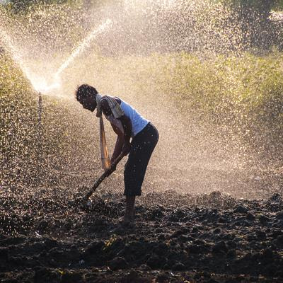 Cover image for research topic "The Performance of Smallholder Irrigation and its Potential to Contribute to Food Security and Sustainability in Africa"