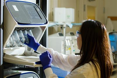 Cover image for research topic "Genomic and Epigenomic Applications in Animal and Veterinary Sciences"