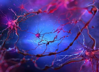Cover image for research topic "Mind-body medicine and its impacts on psychological networks, quality of life, and health"
