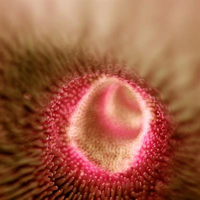 Cover image for research topic "Molecular Mechanisms in Diet-Mediated Inflammatory Diseases"