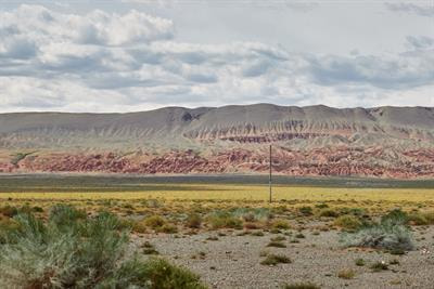 Cover image for research topic "Ecological Restoration in Drylands: Towards Land Degradation Neutrality"