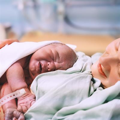 Cover image for research topic "Venous Thromboembolism and Pregnancy"