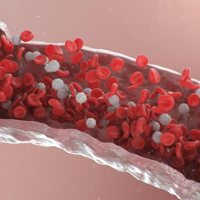 Cover image for research topic "New Discoveries in Bioengineering Applied to Vascular Surgery"