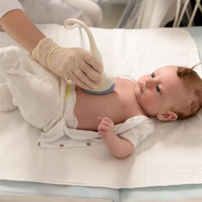 Cover image for research topic "Remarkable Structural Anomalies in Congenital Heart Disease: A collection of case reports in pediatric cardiology"