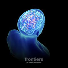 Cover image for research topic "New Directions in Forensic Psychology: Applying Neuropsychology, Biomarkers and Technology in Assessment & Intervention"