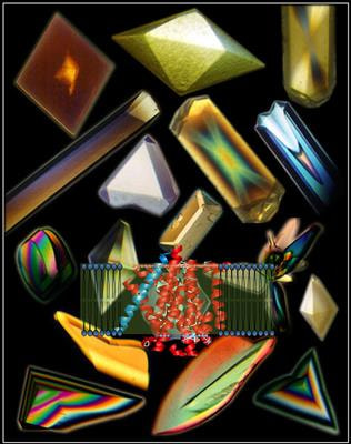 Cover image for research topic "Hidden secrets and lessons from the crystal structures of integral membrane proteins: channels, pumps and receptors"