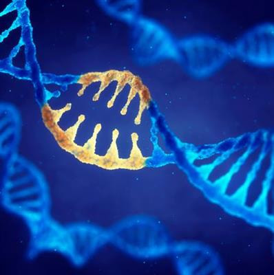 Cover image for research topic "Non-coding Genome and Endocrinology: From Bench to Bedside"