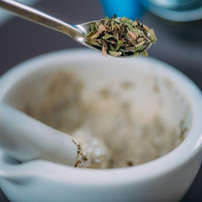 Cover image for research topic "Herbal medicines in Managing Stroke and Neurodegenerative Diseases – Is there Evidence based on Basic and Clinical Studies? , Volume II"